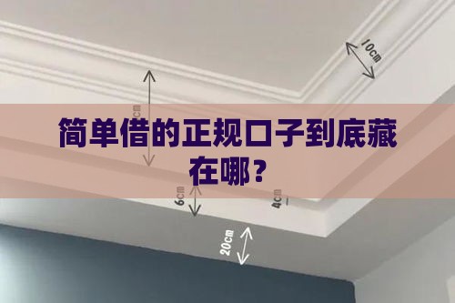 简单借的正规口子到底藏在哪？