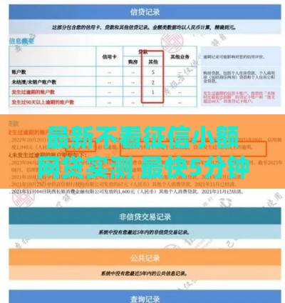 最新不看征信小额网贷实测 最快5分钟到账