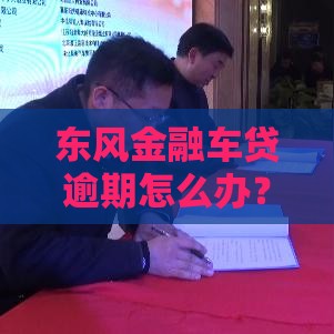 东风金融车贷逾期怎么办？3招教你避免征信受损