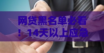 网贷黑名单必看！14天以上应急借款避坑指南