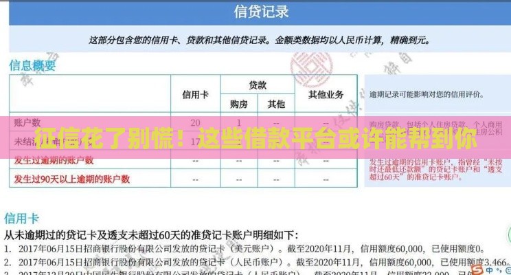 征信花了别慌!这些借款平台或许能帮到你 征信花了别慌!这些借款平台或许能帮到你