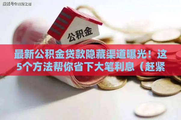 最新公积金贷款隐藏渠道曝光！这5个方法帮你省下大笔利息（赶紧看）