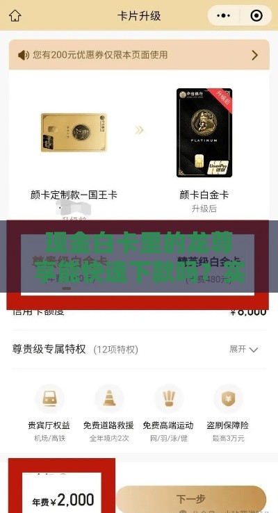 现金白卡里的龙尊享能快速下款吗？实测分享这几点关键信息