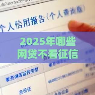 2025年哪些网贷不看征信还能秒到账？