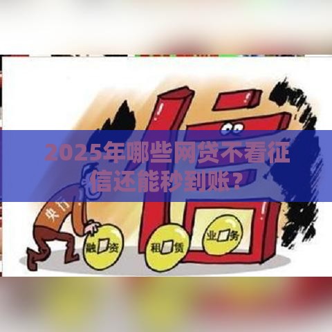2025年哪些网贷不看征信还能秒到账？
