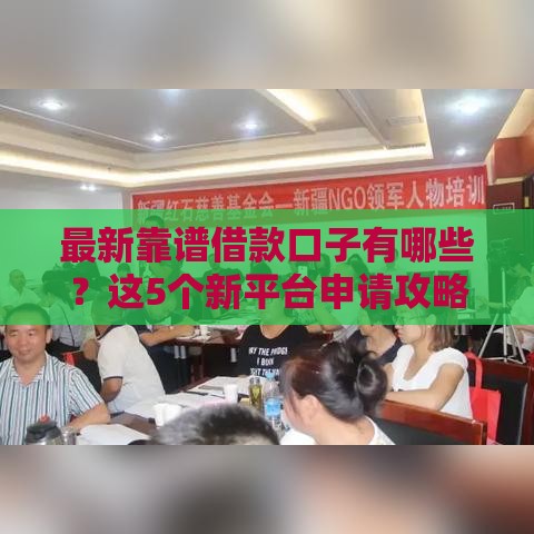 最新靠谱借款口子有哪些？这5个新平台申请攻略快收好！