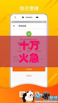 十万火急贷款平台口子真实评测+避坑指南