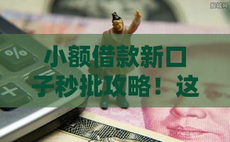 小额借款新口子秒批攻略！这5个低门槛平台急用钱必看