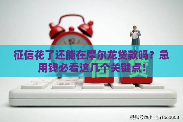 征信花了还能在摩尔龙贷款吗？急用钱必看这几个关键点！