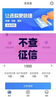 不查征信的放水口子有哪些？贷款攻略全解析