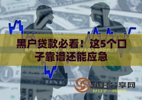 黑户贷款必看！这5个口子靠谱还能应急