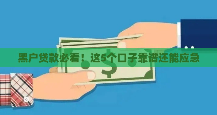 黑户贷款必看！这5个口子靠谱还能应急