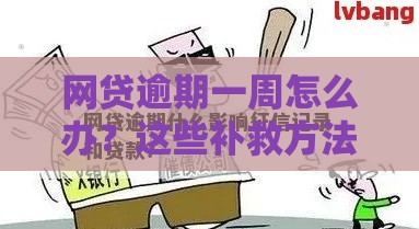 网贷逾期一周怎么办？这些补救方法一定要看！