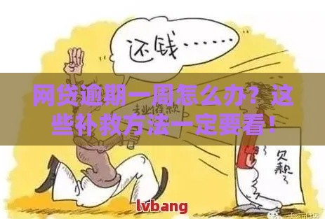 网贷逾期一周怎么办？这些补救方法一定要看！