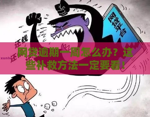 网贷逾期一周怎么办？这些补救方法一定要看！