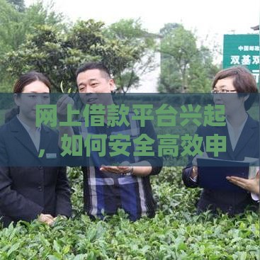 网上借款平台兴起，如何安全高效申请贷款？