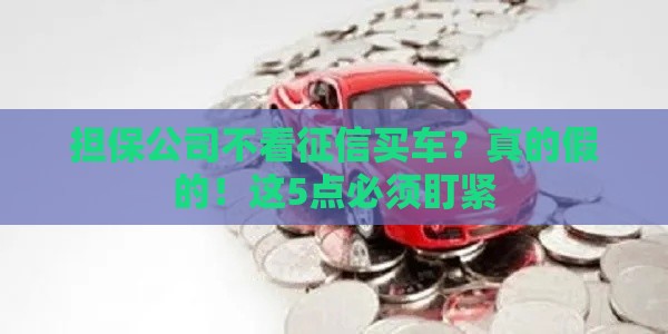 担保公司不看征信买车？真的假的！这5点必须盯紧