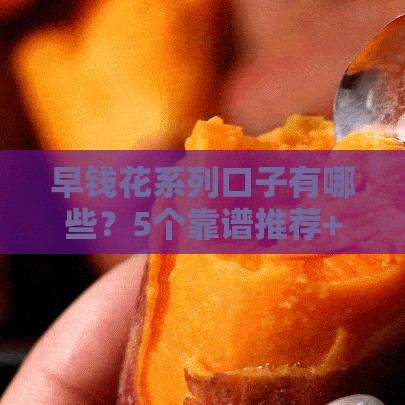 早钱花系列口子有哪些？5个靠谱推荐+避坑指南