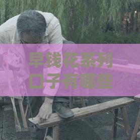 早钱花系列口子有哪些？5个靠谱推荐+避坑指南