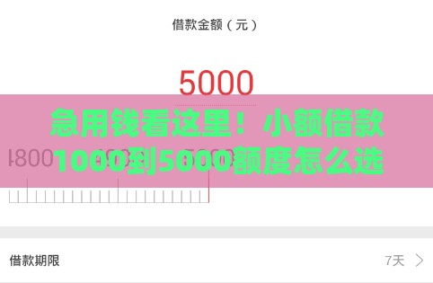 急用钱看这里！小额借款1000到5000额度怎么选？低门槛、快速到账攻略