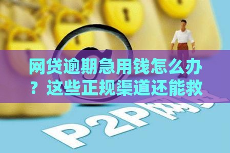 网贷逾期急用钱怎么办？这些正规渠道还能救急！