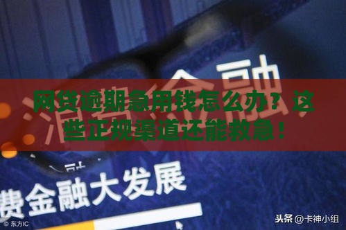 网贷逾期急用钱怎么办？这些正规渠道还能救急！