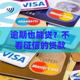 逾期也能贷？不看征信的贷款攻略，快速下款必看！