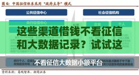 这些渠道借钱不看征信和大数据记录？试试这几个办法！