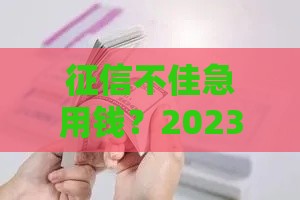 征信不佳急用钱？2023年这些正规渠道还能快速审批