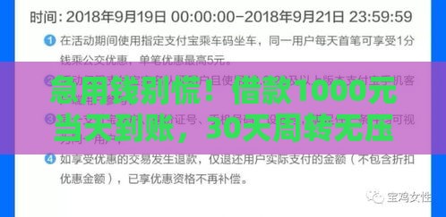 急用钱别慌！借款1000元当天到账，30天周转无压力