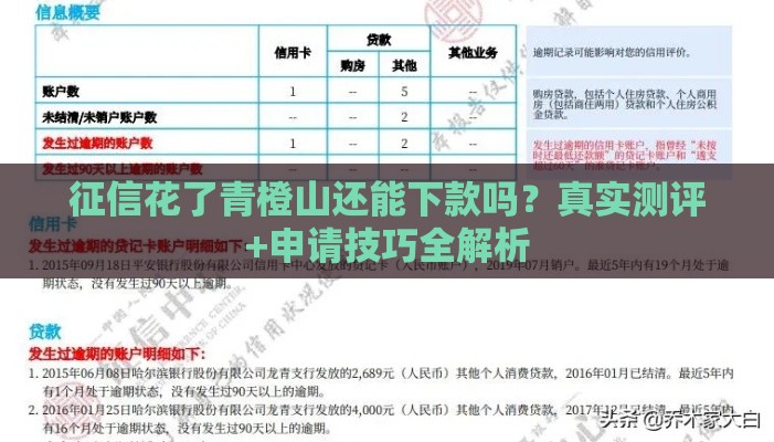 征信花了青橙山还能下款吗？真实测评+申请技巧全解析