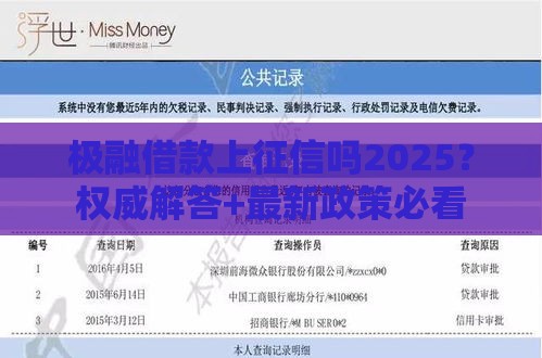 极融借款上征信吗2025？权威解答+最新政策必看