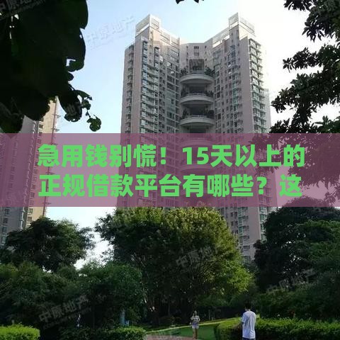 急用钱别慌！15天以上的正规借款平台有哪些？这5个渠道最靠谱