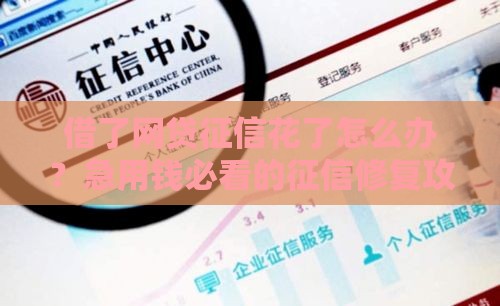 借了网贷征信花了怎么办？急用钱必看的征信修复攻略