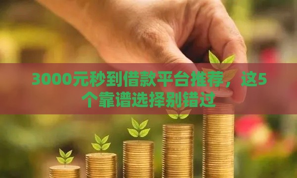 3000元秒到借款平台推荐，这5个靠谱选择别错过