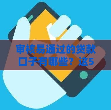 审核易通过的贷款口子有哪些？这5个方法让你快速下款