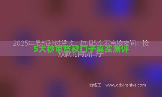 5大秒审贷款口子真实测评