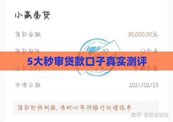 5大秒审贷款口子真实测评