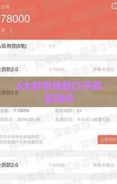 5大秒审贷款口子真实测评