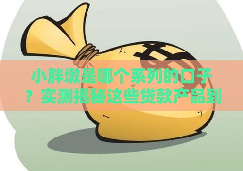 小胖墩是哪个系列的口子？实测揭秘这些贷款产品到底靠不靠谱！