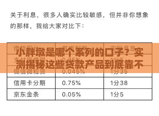 小胖墩是哪个系列的口子？实测揭秘这些贷款产品到底靠不靠谱！