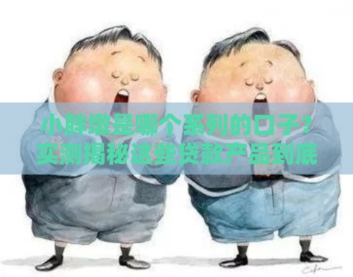 小胖墩是哪个系列的口子？实测揭秘这些贷款产品到底靠不靠谱！