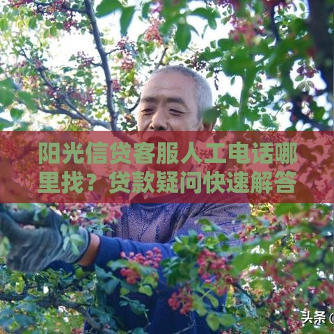 阳光信贷客服人工电话哪里找？贷款疑问快速解答，赶紧收藏！