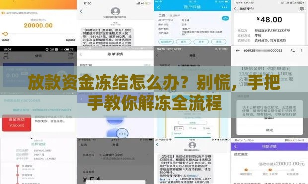 放款资金冻结怎么办？别慌，手把手教你解冻全流程