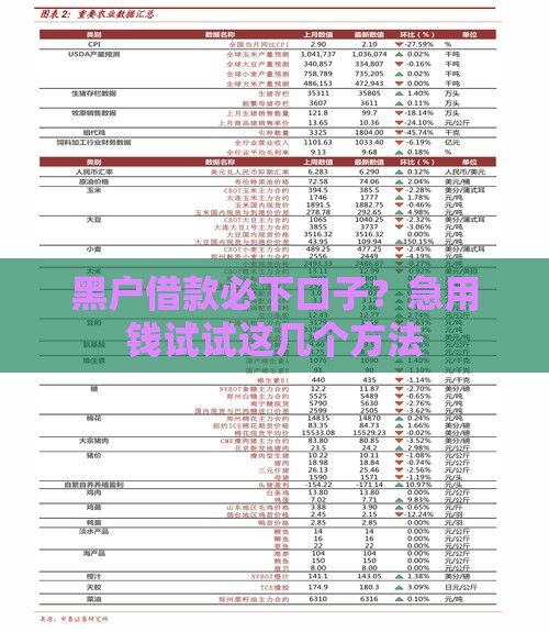 黑户借款必下口子？急用钱试试这几个方法