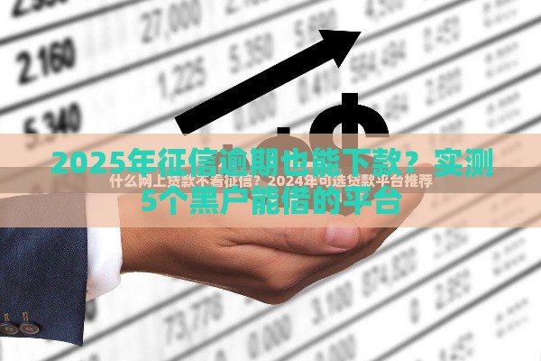 2025年征信逾期也能下款？实测5个黑户能借的平台