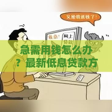 急需用钱怎么办？最新低息贷款方案帮你轻松搞定！