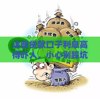 这些贷款口子利息高得吓人，小心别踩坑
