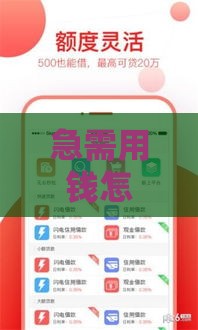 急需用钱怎么办？大额借贷下款攻略：低利率、高额度，轻松到账！