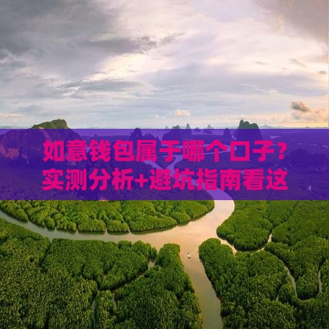 如意钱包属于哪个口子？实测分析+避坑指南看这里